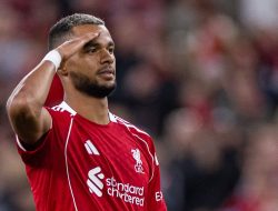 Cody Gakpo Perpanjang Kontrak di Liverpool, Bidik Trofi Liga Champions