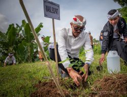 Pemkab Bangli Rayakan Tumpek Wariga dengan Aksi Tanam Pohon dan Gerakan Bersih Lingkungan