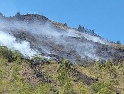 Gunung Batur Terbakar! 9,8 Hektare Lahan Hangus Dilalap Api